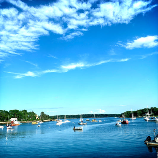 color photograph of Round Pond Harbor in July